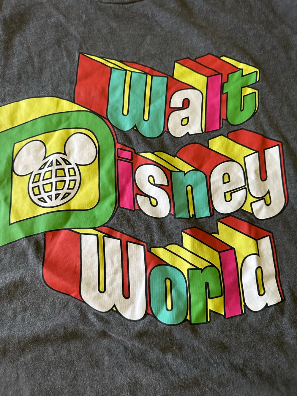 Disney Gray Short Sleeve Tee with Multicolor 'Walt Disney World' Graphic